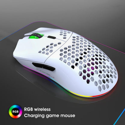Fall HXSJ New RGB Wireless 2.4G Gaming Mouse, Rechargeable RGB Light Optical Mouse, Plug and Play Ergonomic Mouse for Desktop Notebook PC Home Office, Tech Gadgets, Gaming Mouse